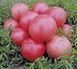Насіння рожевого томату Пінк Світнес F1, 500 шт