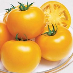 Насіння жовтого томату Ямамото (KS 10) F1, 100 шт