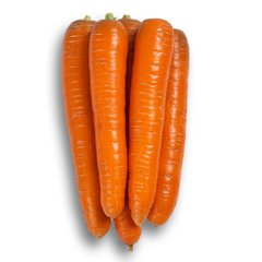 Насіння моркви Морелія F1(калібр 1,8 -2,0), 25000 шт