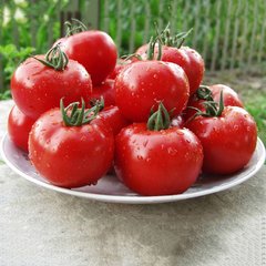 Насіння томату Чімган F1, 250 шт