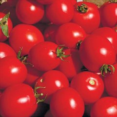 Насіння томату Солероссо F1, 1000 шт