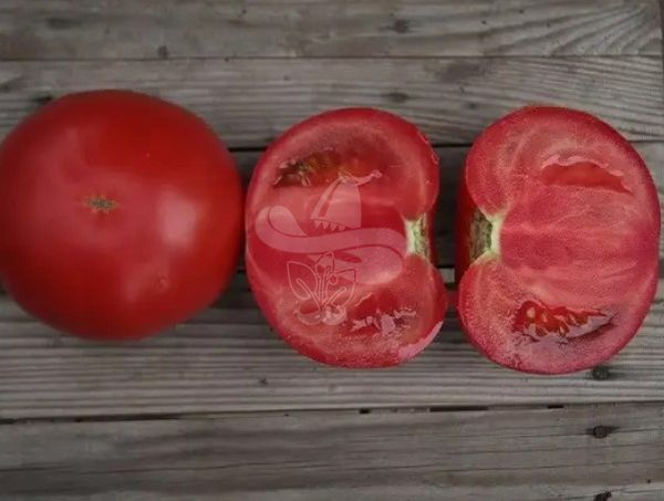 Насіння рожевого томату Кібо F1, 100 шт