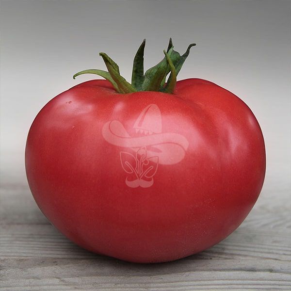 Насіння рожевого томату Кібо F1, 100 шт