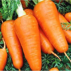 Насіння моркви Ред Кор, 500 г