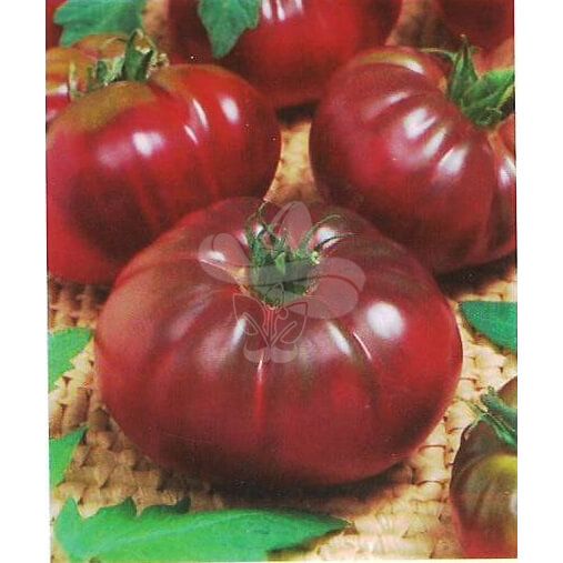 Насіння томату Біг Блек, 0,3 г