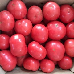 Насіння рожевого томату Тайпінк F1, 500 шт