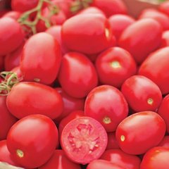 Насіння томату Уно Россо F1, 1000 насінин