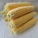 Насіння цукрової кукурудзи Зеатон F1, 25 шт
