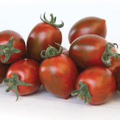 Насіння томату KS 277 F1, 100 шт
