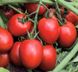 Насіння томату Діно F1, 1000 шт