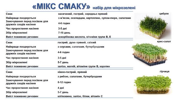 Набор микрозелени "Смачнисимо" (редис, лук, салат)