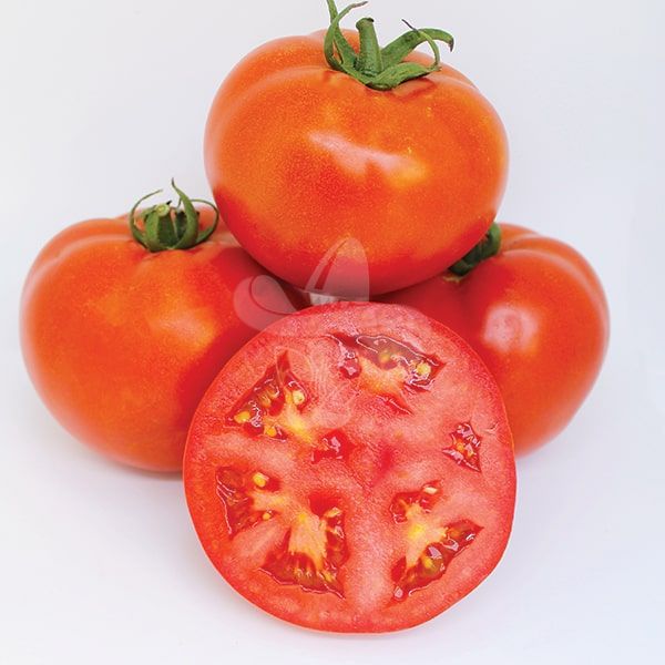Насіння томату Джем F1, 100 шт