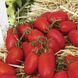 Насіння томату П'єтра Росса F1, 1000 шт