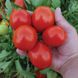 Насіння томату Баста F1, 1000 шт