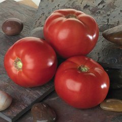 Насіння томату Белла росса F1, 1000 насінин