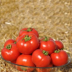Насіння томату Світ Муссон F1, 250 шт