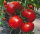 Насіння томату Бостіна F1, 500 насінин