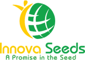 Innova Seeds Co. (США)
