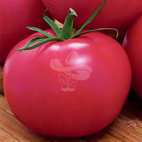 Насіння рожевого томату Пінк, 0,5 г