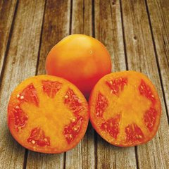 Семена оранжевого томата Айсан (KS 18) F1, 500 шт