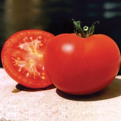 Насіння томату Багіра F1, 5 г