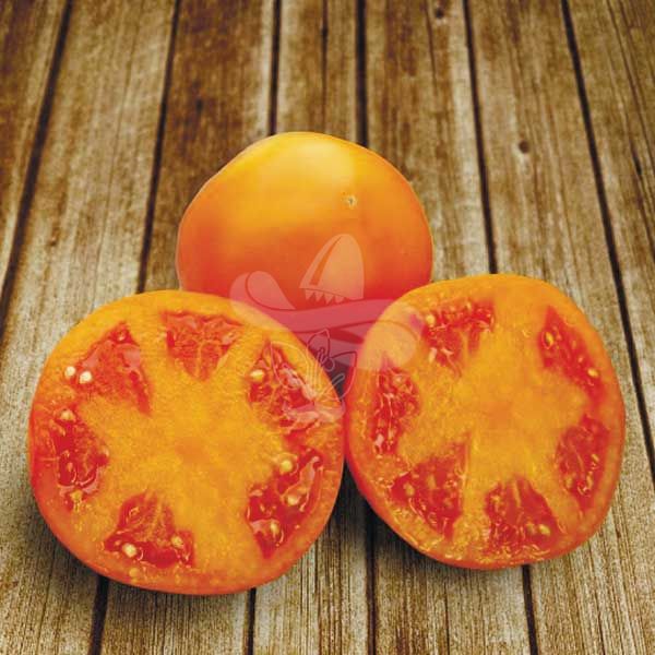 Насіння оранжевого томату Айсан (KS 18) F1, 500 шт
