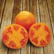 Насіння оранжевого томату Айсан (KS 18) F1, 500 шт