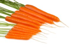 Насіння моркви Джерада F1(калібр 1,8-2,0), 25000 шт