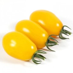 Насіння жовтого томату KS 3690 F1, 250 шт