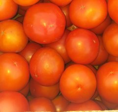 Насіння томату Діззі INX 6056 F1, 100 шт