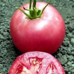 Насіння рожевого томату Пінк Унікум F1, 250 шт