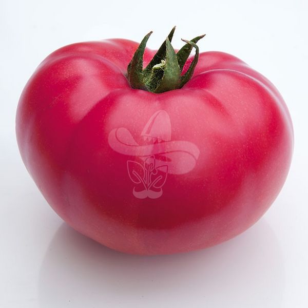 Насіння томату Оксіхарт Бельмонте F1, 250 насінин